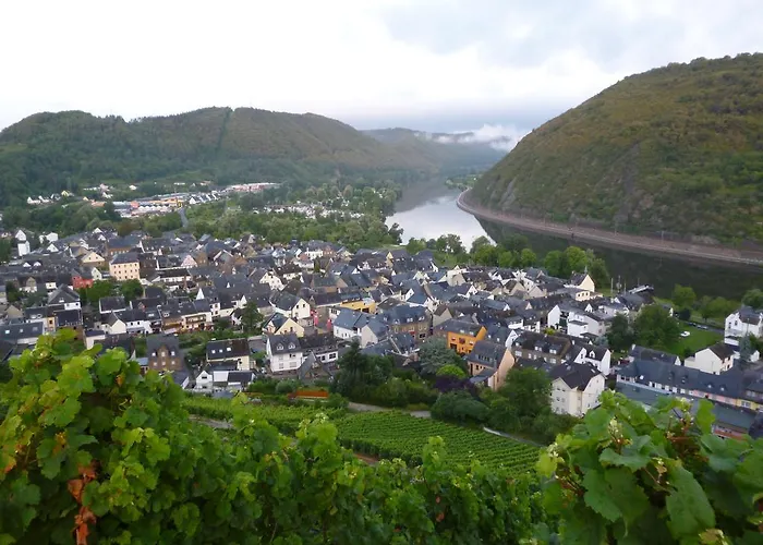 Garni Reis トライス・カーデン